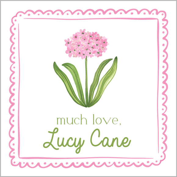 Pink Amaryllis Gift Tag